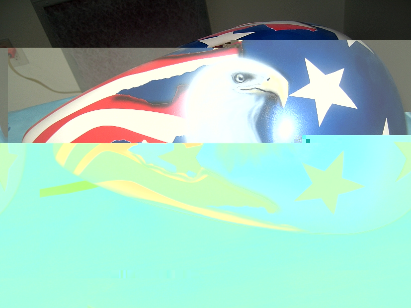 American Eagle4